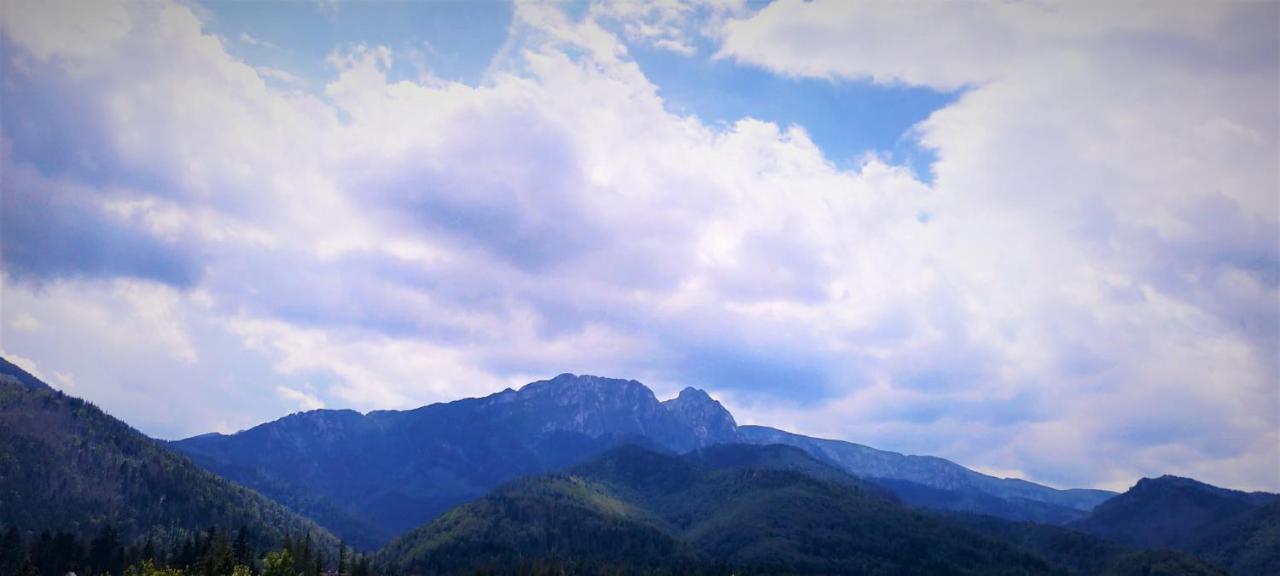 Bed and Breakfast Hyrny à Zakopane Extérieur photo