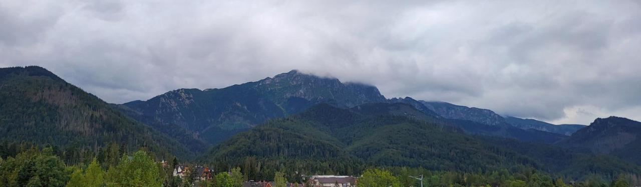 Bed and Breakfast Hyrny à Zakopane Extérieur photo